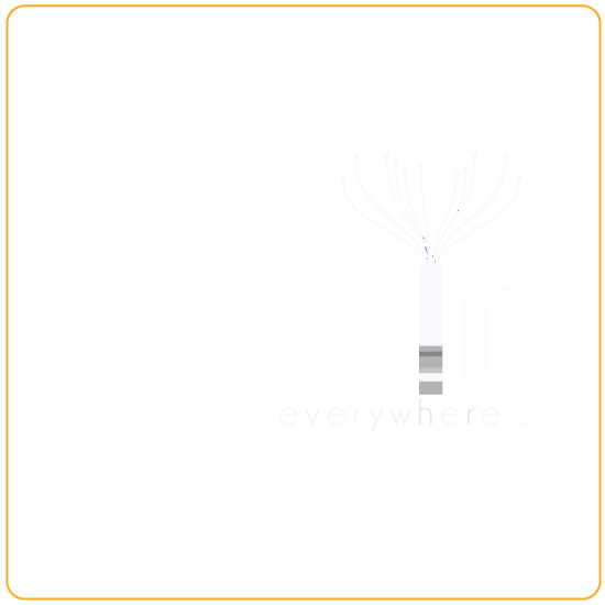 wibi